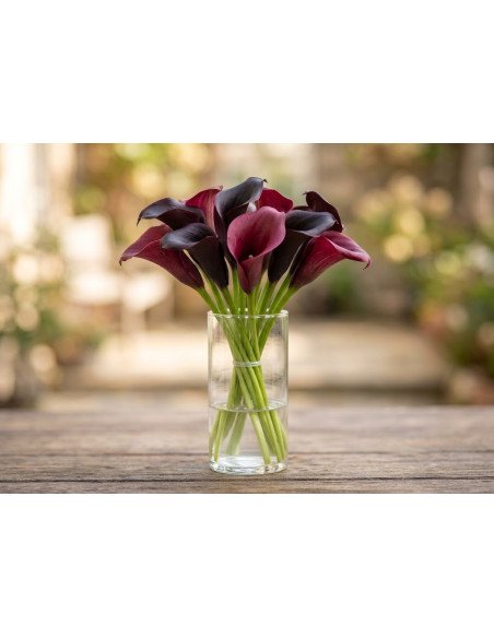 Fresh Mini Burgundy/Black Calla Lily Stems (10-Stem Bunch) | FlowerBunches