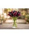 Fresh Mini Burgundy/Black Calla Lily Stems (10-Stem Bunch) | FlowerBunches