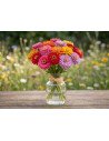 Fresh Assorted Zinnias (10-Stem Bunch) | FlowerBunches